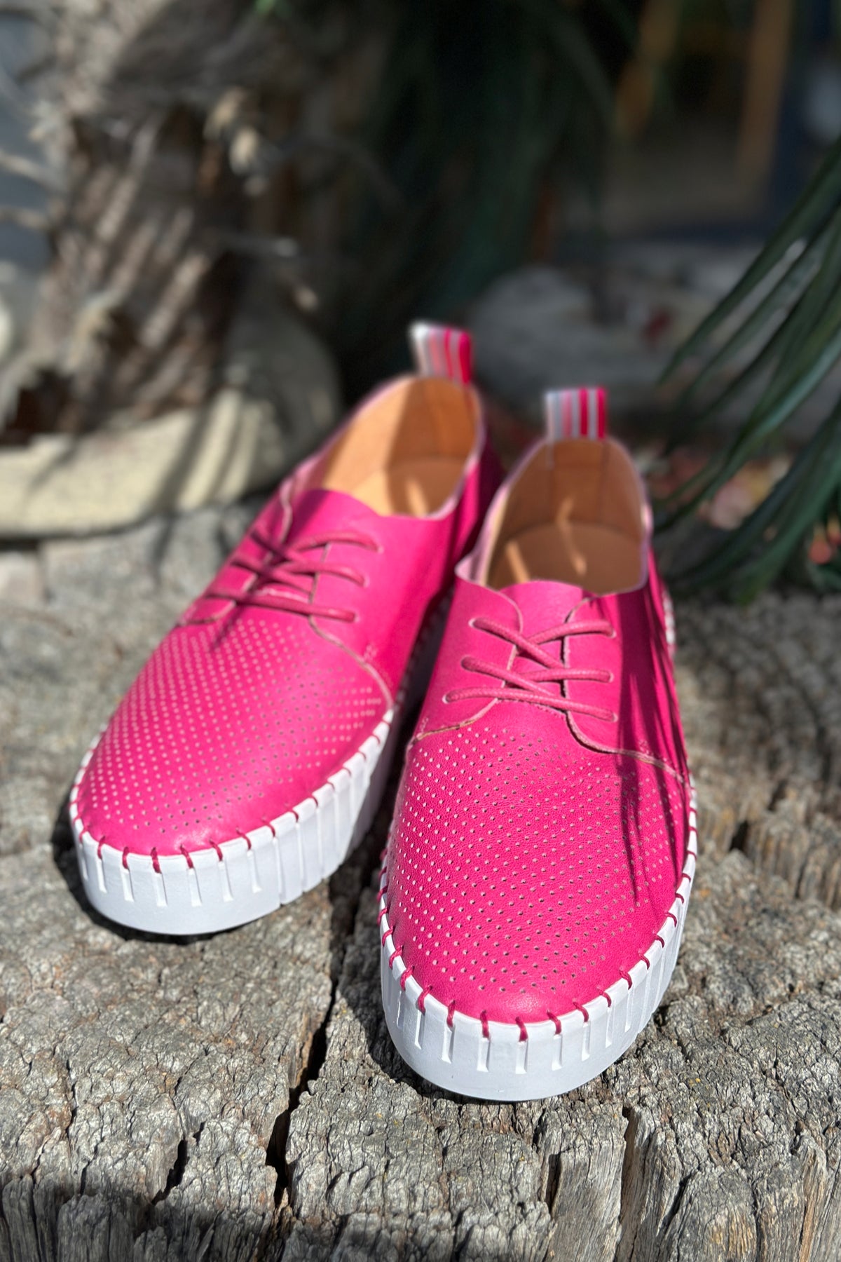 Sammy Sneaker Fuchsia