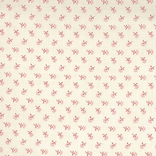 Favorites Basics Cournouille Pearl
