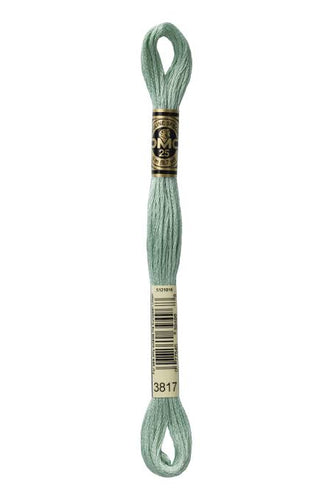 DMC Embroidery Thread 3817