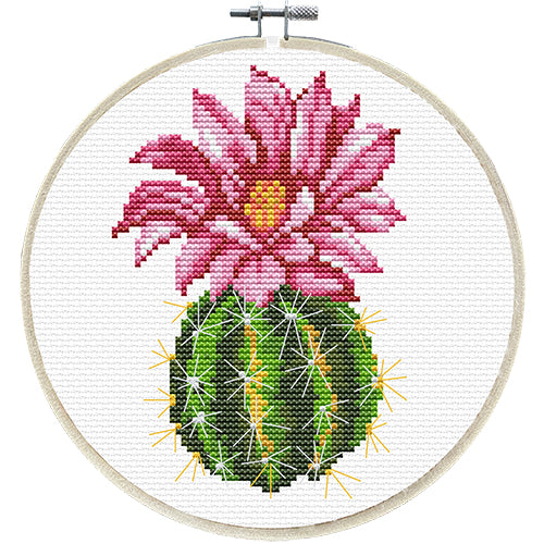 Pink Cactus No Count Cross Stitch Kit -  Includes Frame