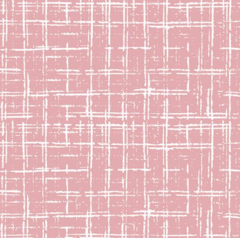 Afternoon In The Park Pink Checks