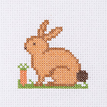 Load image into Gallery viewer, 1st Cross Stitch Rabbit